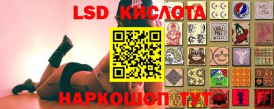 spice Кунгур