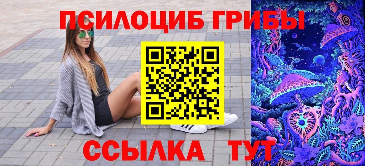 где купить   Псилоцибиновые грибы Psilocybe  Вход с VPN  Псилоцибиновые грибы прущие грибы  Избербаш 